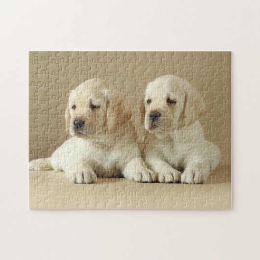 Zwei goldene Labrador-Welpen Puzzle (Horizontal)