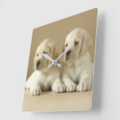 Zwei goldene Labrador-Welpen Quadratische Wanduhr (Winkel)