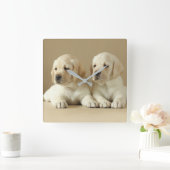 Zwei goldene Labrador-Welpen Quadratische Wanduhr (Zuhause)