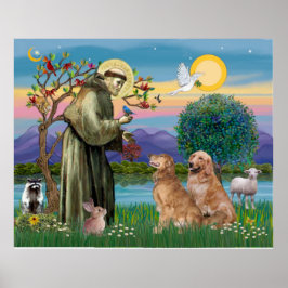 Zwei goldene Retrievers Poster