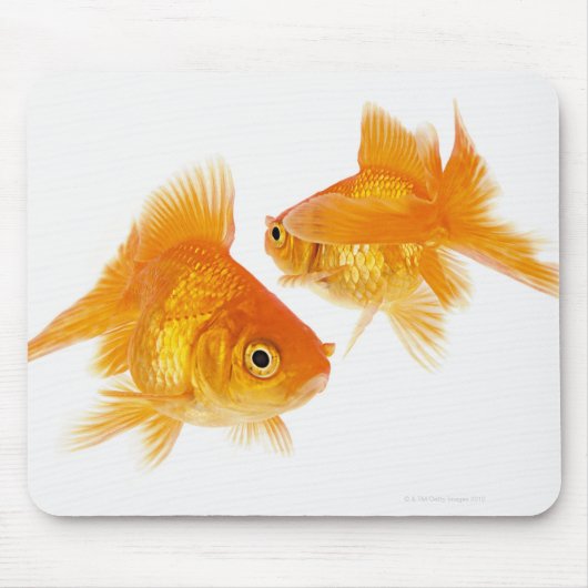 Zwei Goldfische überqueren einander Mousepad (Vorne)