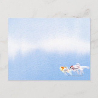Zwei Goldfish Postkarte