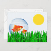 Zwei Goldfish Sun Frühlingssäquinoktium Großgras Postkarte (Vorne/Hinten)