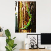Zwei Goldstaubgeckos Phelsuma Laticauda Poster (Heimbüro)