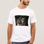 Zwei graue Katzen Herren-T - Shirt (Vorderseite)