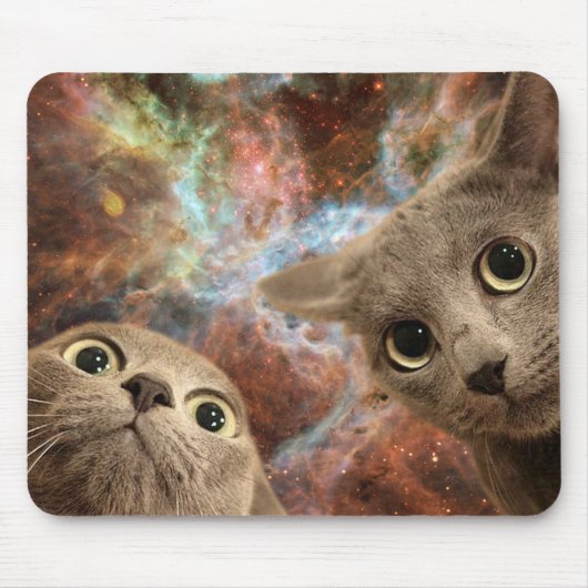 Zwei graue Katzen im Raum vor einem Nebelfleck Mousepad (Vorne)