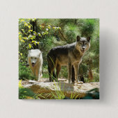 Zwei graue Wölfe im Wald Button (Vorderseite)