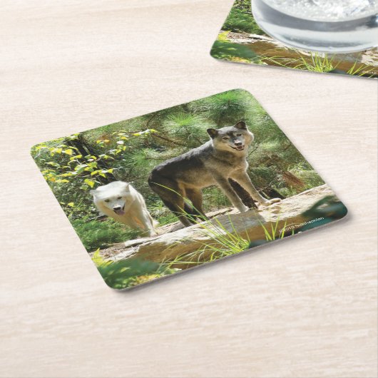 Zwei graue Wölfe im Wald Rechteckiger Pappuntersetzer (angewinkelt)