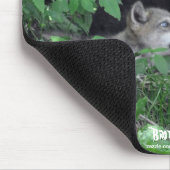 Zwei graue Wolfsteppchen spielen Wildlife Nature F Mousepad (Ecke)
