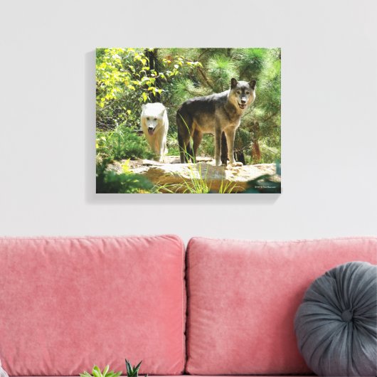 Zwei Grauwölfe im Wald Leinwanddruck (Insitu (Wohnzimmer))