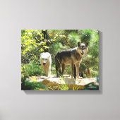Zwei Grauwölfe im Wald Leinwanddruck (Vorderseite)