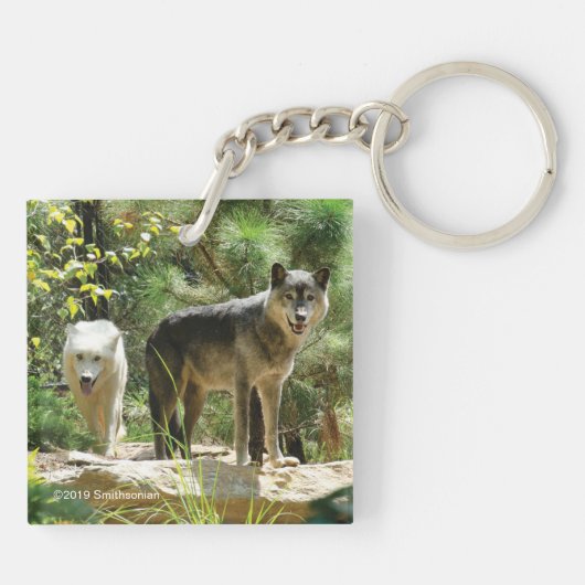 Zwei Grauwölfe im Wald Schlüsselanhänger (Rückseite)