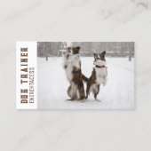 Zwei grenzübergreifende Colliese - Hundeausbilder- Visitenkarte (Vorderseite)