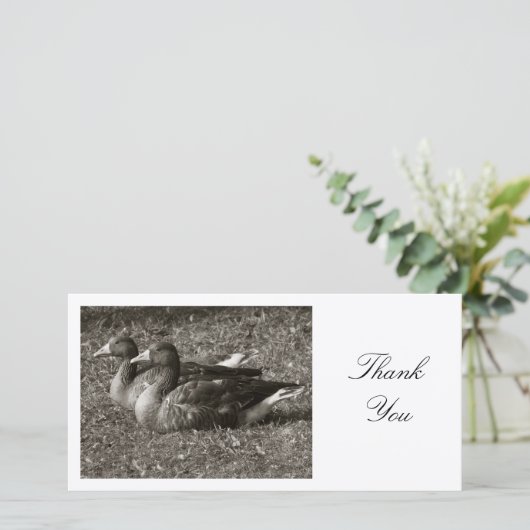 Zwei Griechen - Danke (Stehend Vorderseite)