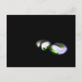 Zwei große Bohnen pca Postkarte (Vorderseite)