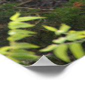 Zwei große Egrets im Baum Poster (Ecke)