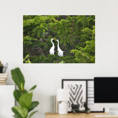 Zwei große Egrets im Baum Poster (Heimbüro)