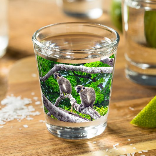 Zwei grüne Affen, die in Baumschussglas sitzen Schnapsglas