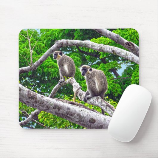 Zwei grüne Affen, die in einer Baummousepad sitzen Mousepad (Mit Mouse)