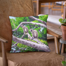 Zwei grüne Affen sitzen im Baumwurzelpilz