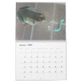 Zwei grüne Frösche 2023-Kalender Kalender (Jan 2027)