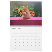 Zwei grüne Frösche 2024-Kalender Kalender (Jan 2027)