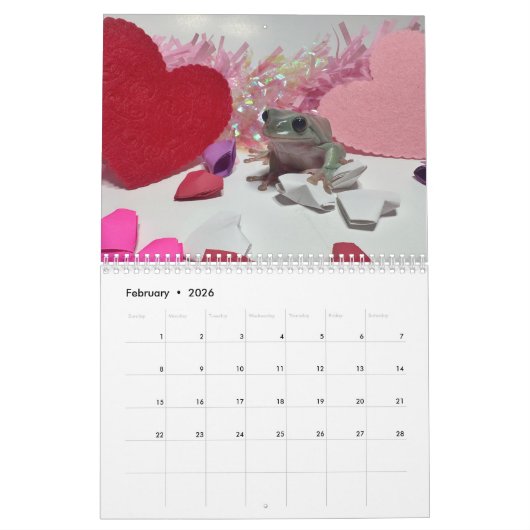 Zwei grüne Frösche 2024-Kalender Kalender (Feb 2026)
