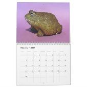 Zwei grüne Frösche 2025-Kalender Kalender (Feb 2027)