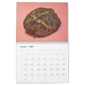 Zwei grüne Frösche 2025-Kalender Kalender (Jan 2027)