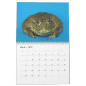 Zwei grüne Frösche 2025-Kalender Kalender (Mär 2027)