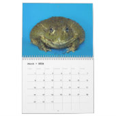 Zwei grüne Frösche 2025-Kalender Kalender (Mär 2026)