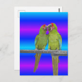 Zwei grüne Papageien Sunset DIY Postkarte (Vorne/Hinten)