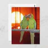 Zwei grüne Papageien Sunset DIY Postkarte (Vorne/Hinten)