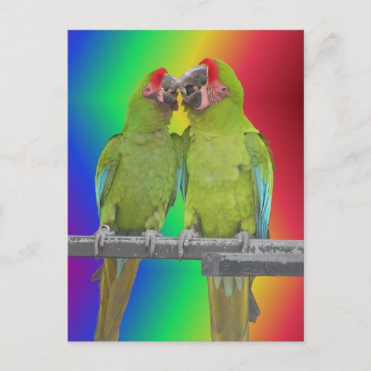 Zwei grüne Paprika Rainbow DIY Postkarte (Vorderseite)