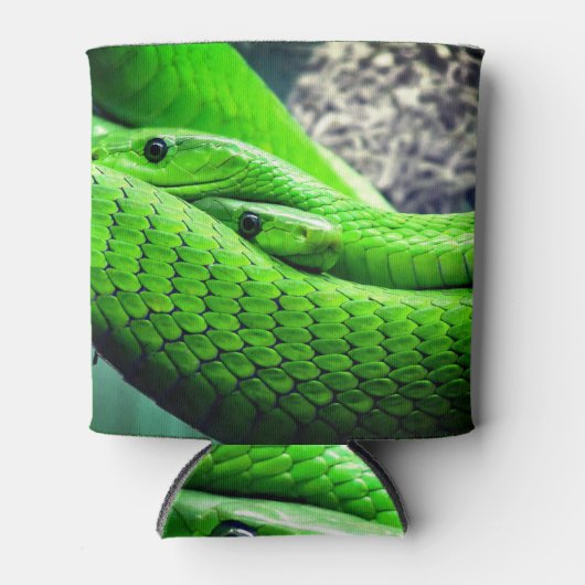 Zwei grüne Schlangen Dosenkühler (Vorderseite)