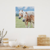 zwei Haflinger Poster (Küche)