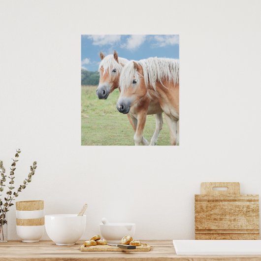 zwei Haflinger Poster (Küche)