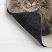 Zwei Hauptcoon-Katzen Mousepad (Ecke)