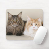 Zwei Hauptcoon-Katzen Mousepad (Mit Mouse)