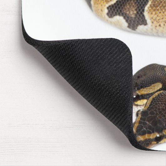 Zwei Häuptlinge Royal Python oder Ball Python - Py Mousepad (Ecke)