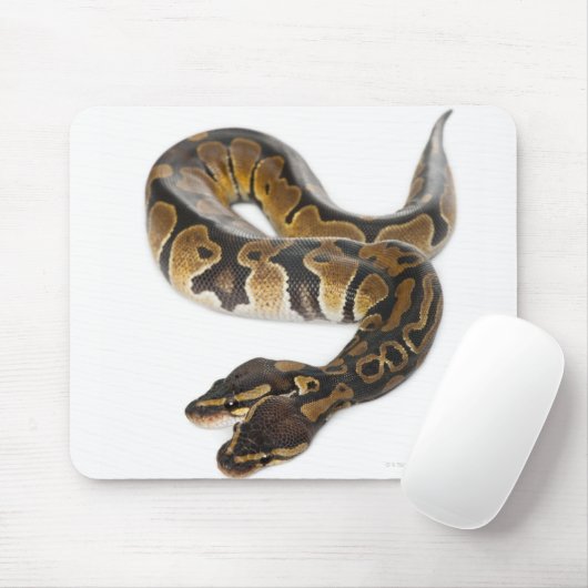 Zwei Häuptlinge Royal Python oder Ball Python - Py Mousepad (Mit Mouse)