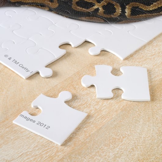 Zwei Häuptlinge Royal Python oder Ball Python - Py Puzzle (Seite)