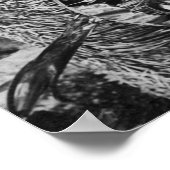 Zwei hawaiianische Frauen mit Ukalalees Fotografie Poster (Ecke)