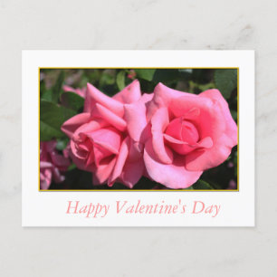 zwei heiße rosa Rosenblüten Valentinstag Feiertagspostkarte