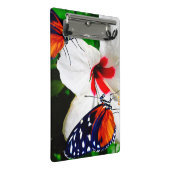 Zwei Heliconius-Hektar Schmetterlinge bestäuben ei Mini Klemmbrett (Schrägansicht)