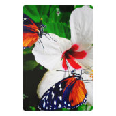 Zwei Heliconius-Hektar Schmetterlinge bestäuben ei Mini Klemmbrett (Rückseite)