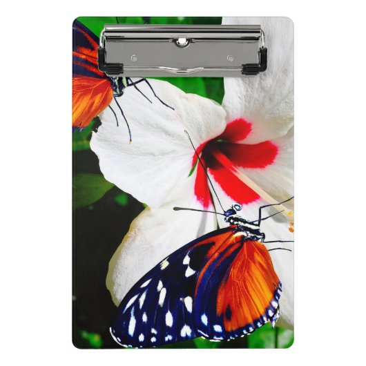 Zwei Heliconius-Hektar Schmetterlinge bestäuben ei Mini Klemmbrett (Vorderseite)