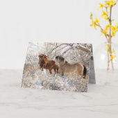 Zwei Hengste im Schnee - Grußkarte für Wildes Pfer Karte (Gelbe Blume)
