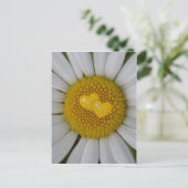 Zwei Herzen auf Marguerite Postkarte (Stehend Vorderseite)