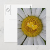 Zwei Herzen auf Marguerite Postkarte (Vorne/Hinten)